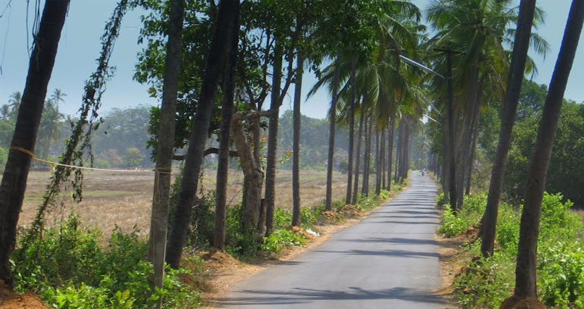 saligao village walk goa, Best Tours in Goa