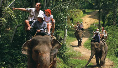 Jungle Book in Goa