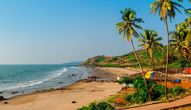 Beach Tour in Goa 