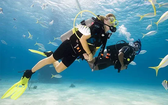 Scuba diving in Goa